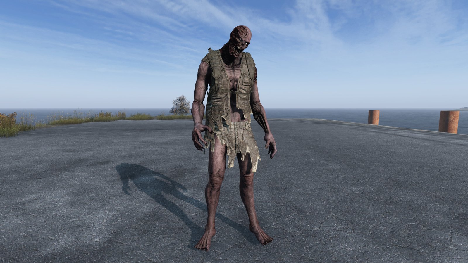 Novo Zumbi